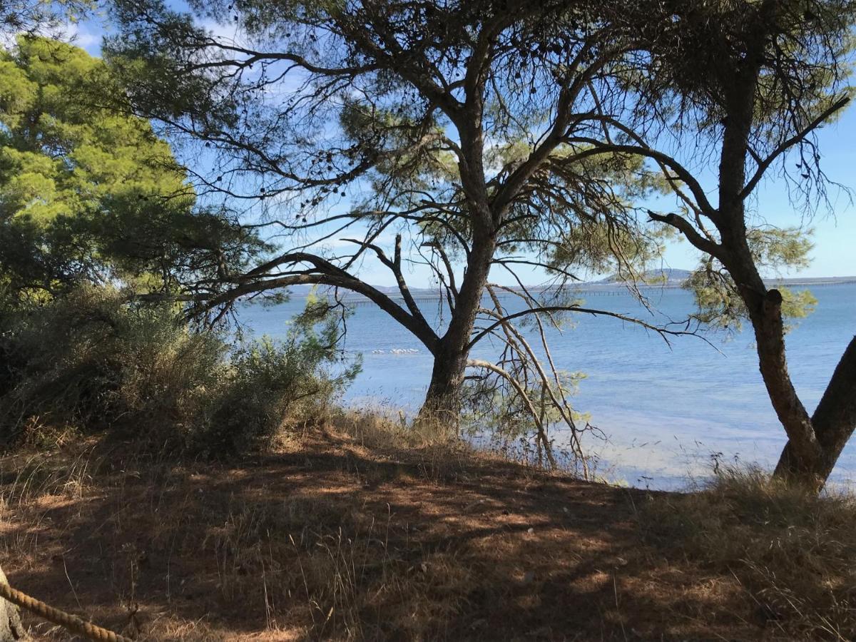 Au bord de Thau Bed and Breakfast Marseillan  Buitenkant foto