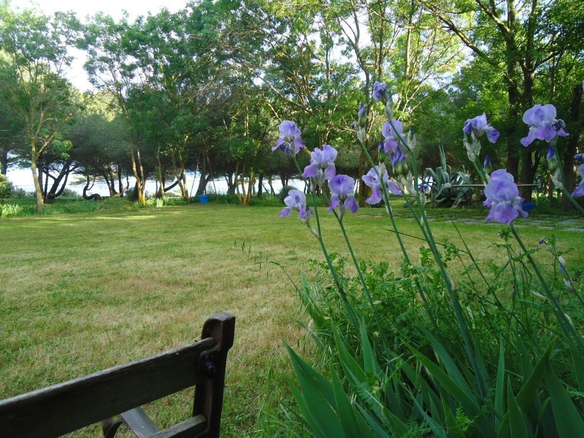 Au bord de Thau Bed and Breakfast Marseillan  Buitenkant foto