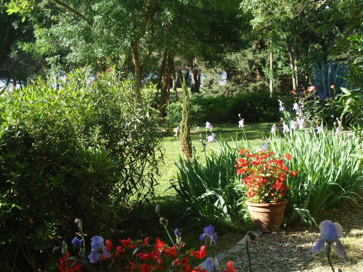 Au bord de Thau Bed and Breakfast Marseillan  Buitenkant foto