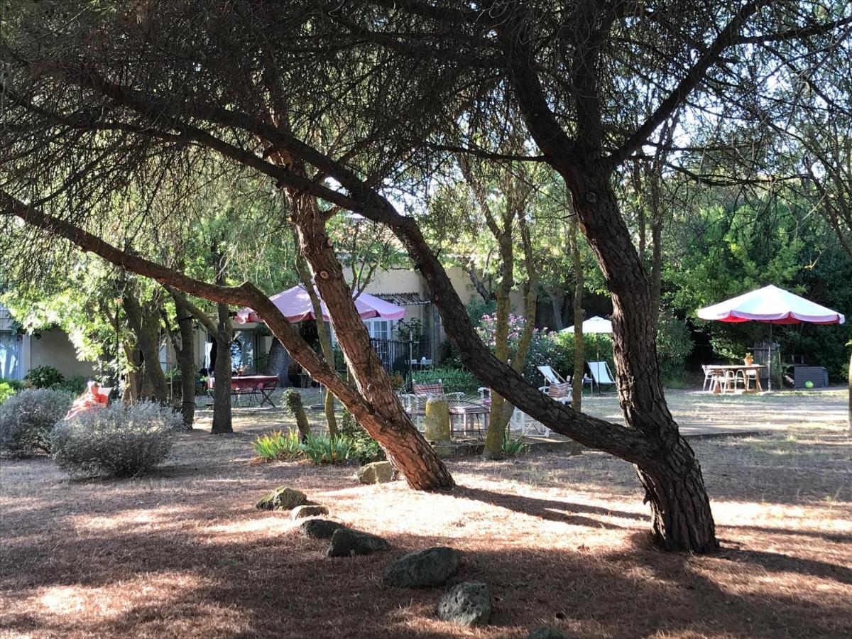 Au bord de Thau Bed and Breakfast Marseillan  Buitenkant foto