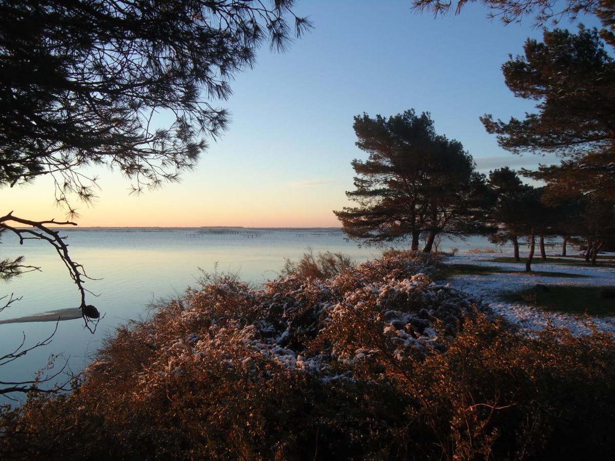Au bord de Thau Bed and Breakfast Marseillan  Buitenkant foto