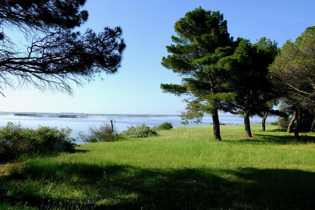 Au bord de Thau Bed and Breakfast Marseillan  Buitenkant foto