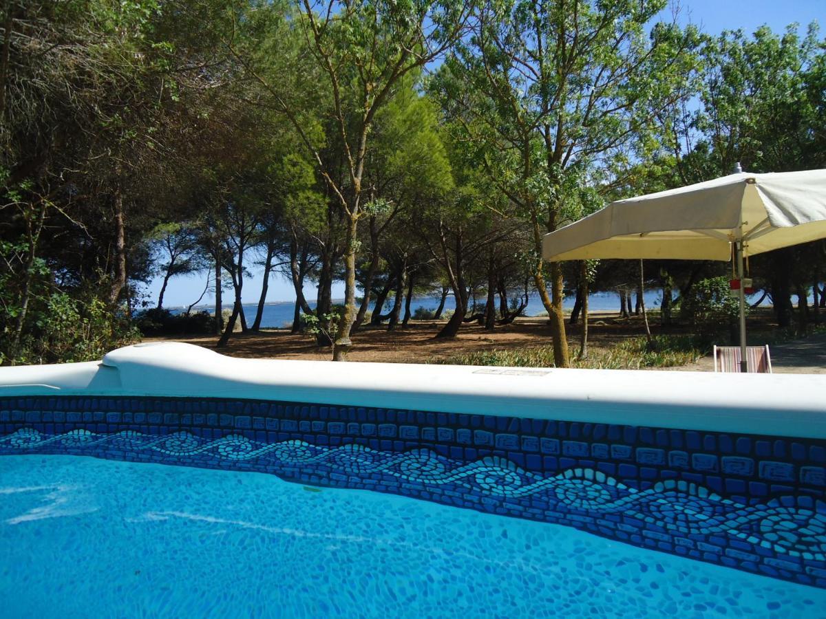 Au bord de Thau Bed and Breakfast Marseillan  Buitenkant foto