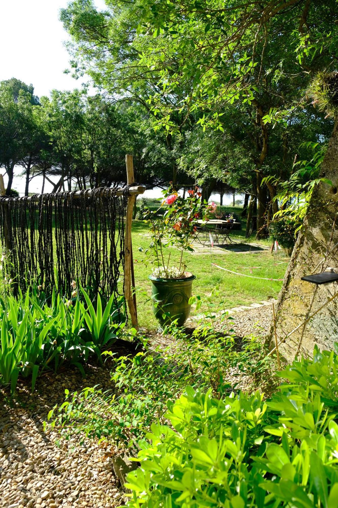 Au bord de Thau Bed and Breakfast Marseillan  Buitenkant foto