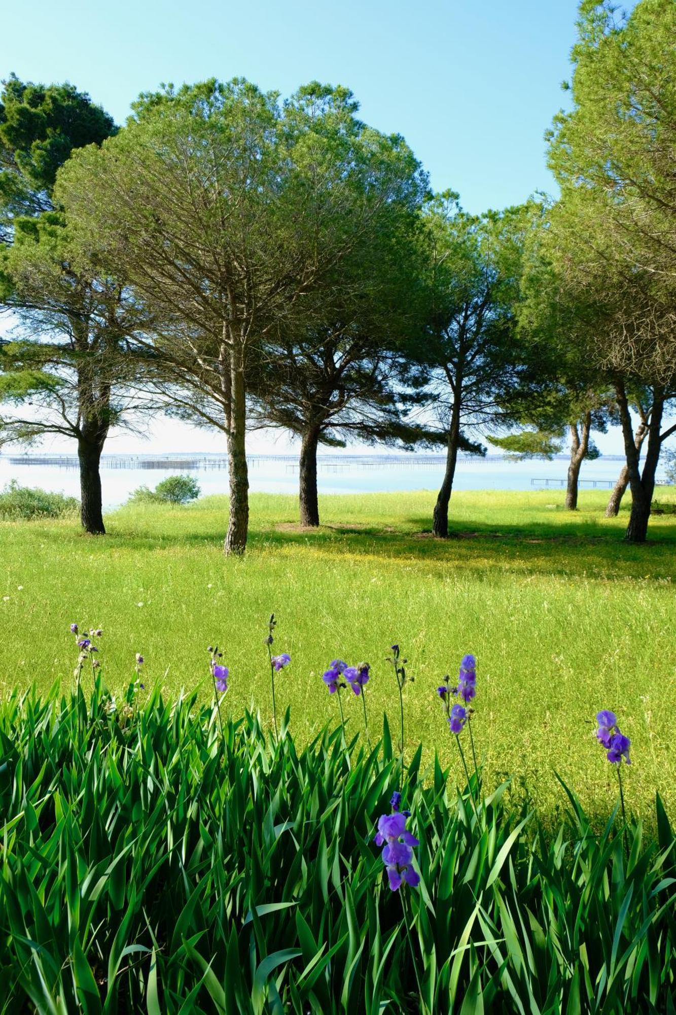 Au bord de Thau Bed and Breakfast Marseillan  Buitenkant foto