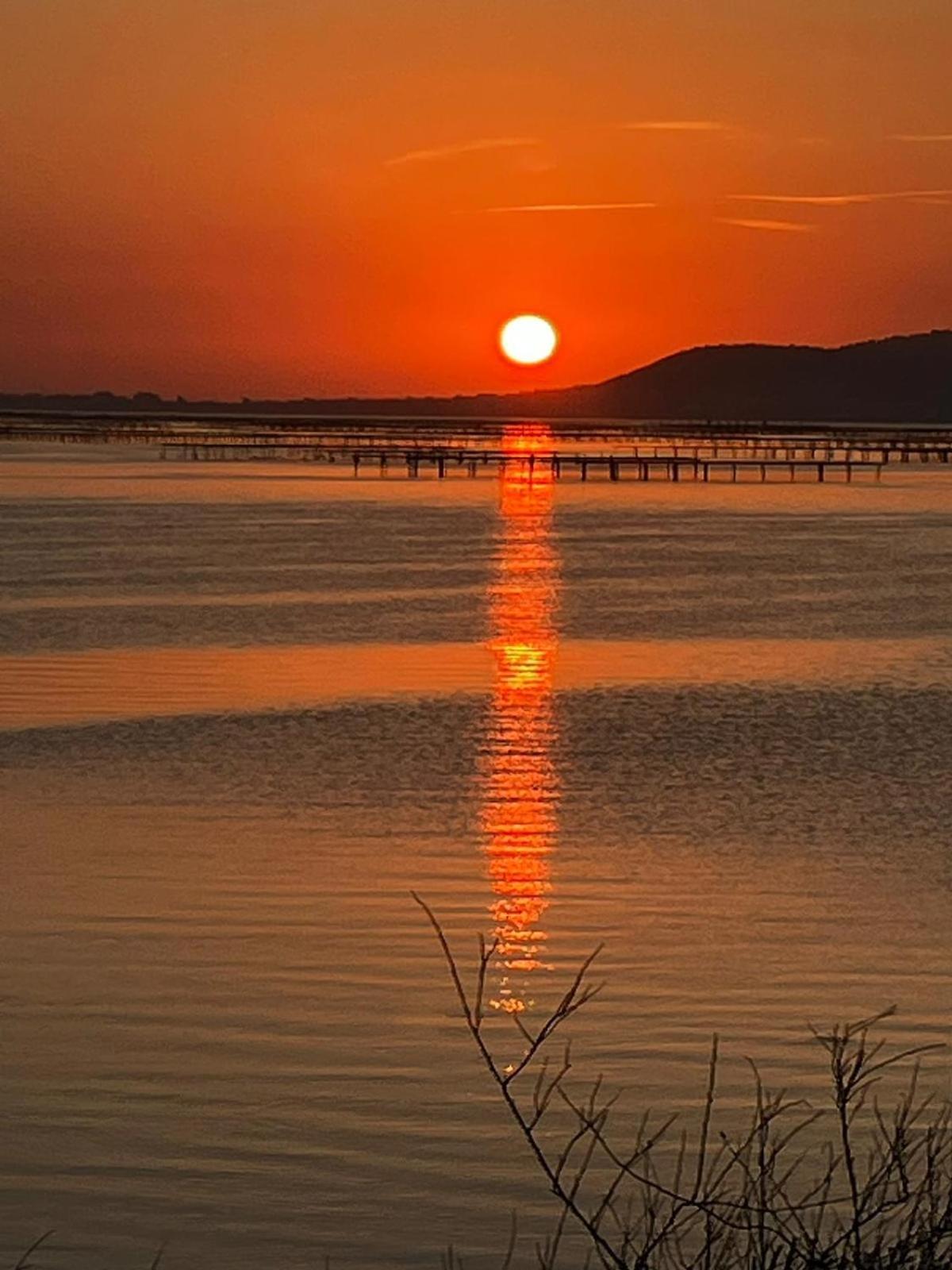 Au bord de Thau Bed and Breakfast Marseillan  Buitenkant foto